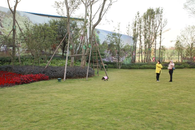 实景图