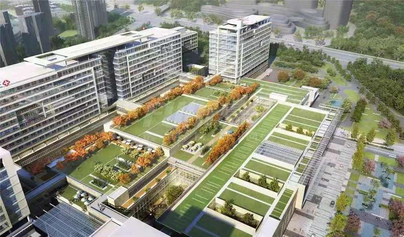 成都京东方医院