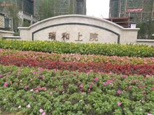 雄飞·上院1期实景图