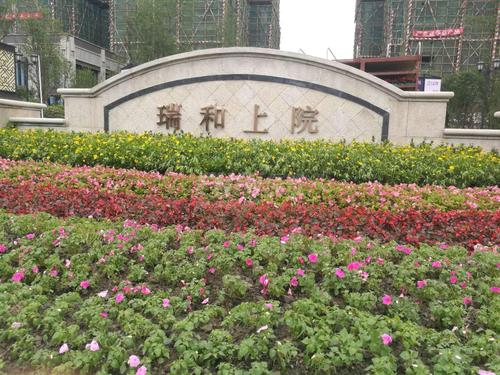 雄飞·上院1期实景图