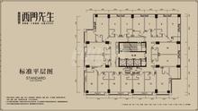 西门先生749.00平户型