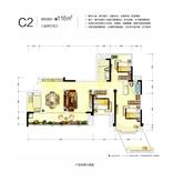 C2