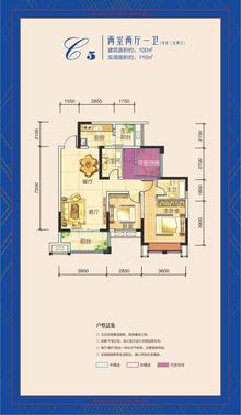 天赋龙庭2室2厅2卫100.38平户型