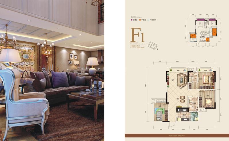F 户型（21#）