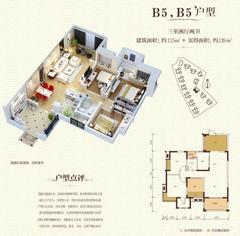 玺龙湾2期3室2厅2卫115.00平户型