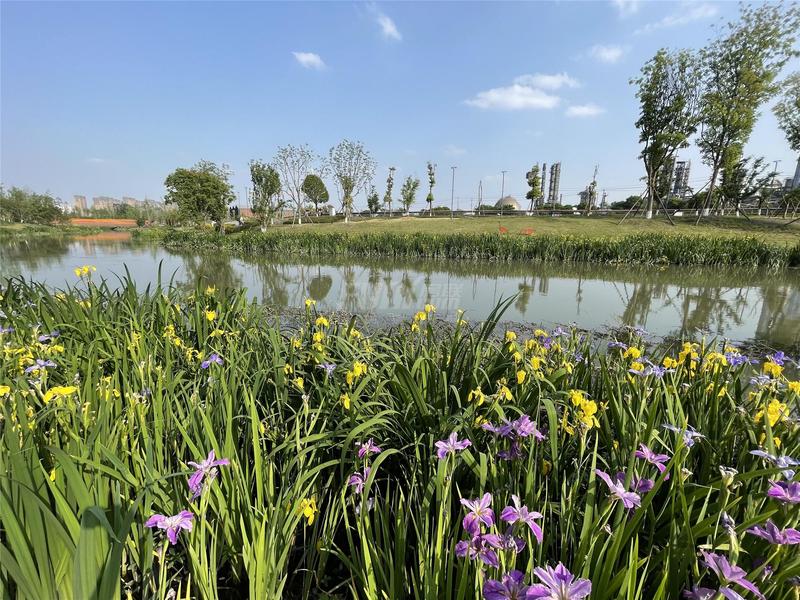 长流河湿地公园实景图