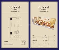 西门先生48.50平户型