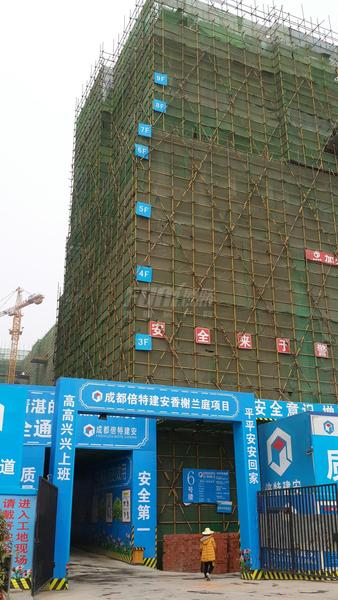 工程进度