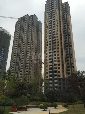 东原西岸实景图