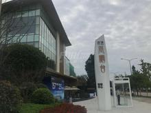 明信凤栖台1期效果图