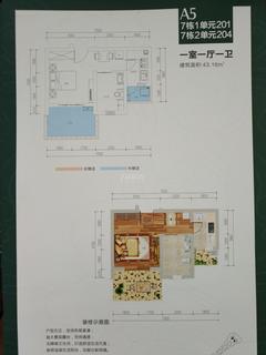 花果山翠微谷1期1室1厅1卫43.16平户型