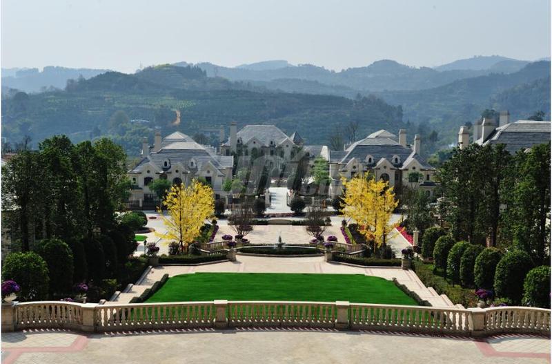 实景图