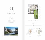 1#楼云溪叠墅B1