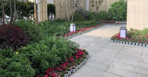 华邑宸居1期实景图