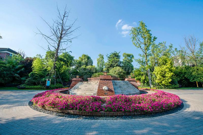实景图