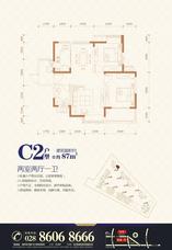 C2