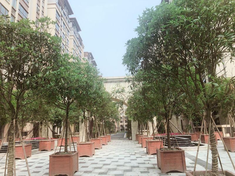 小区实景