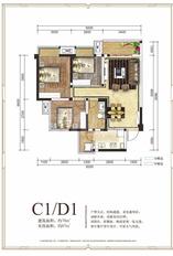 C1\D1