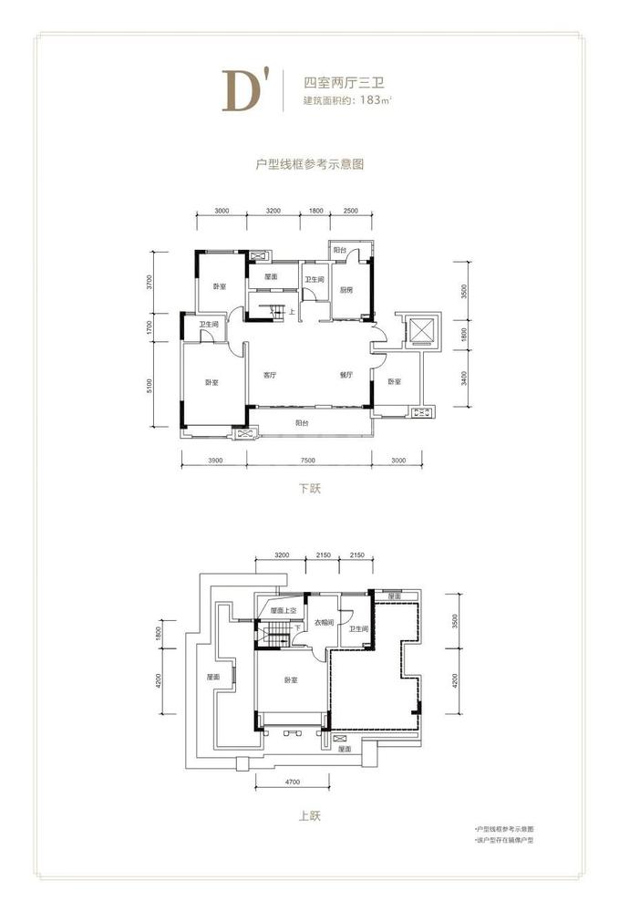 D顶跃