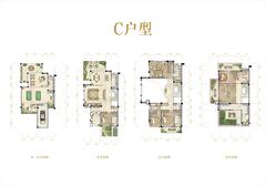 华侨城东岸5室3厅4卫460.00平户型