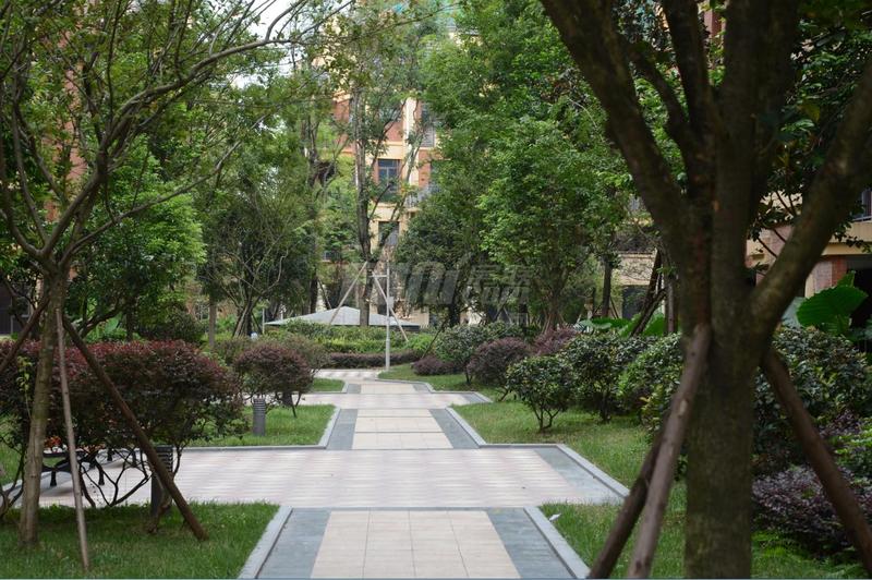 一期园林实景图
