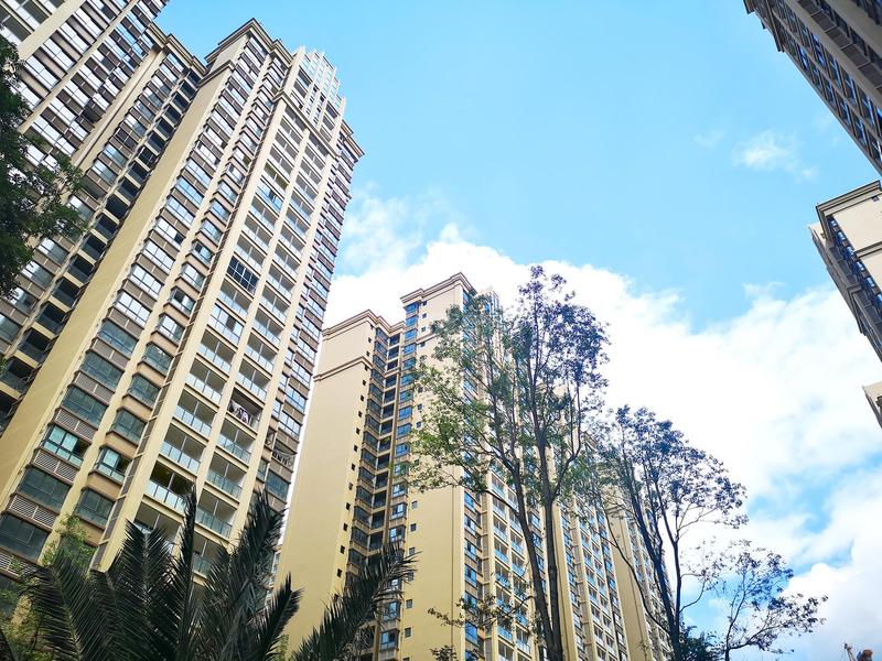实景图