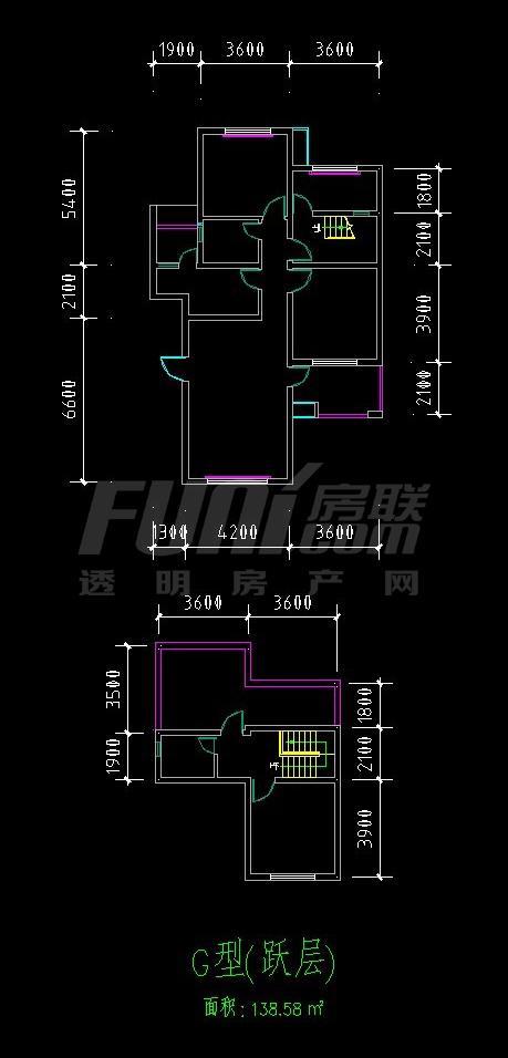 Ｇ跃双号