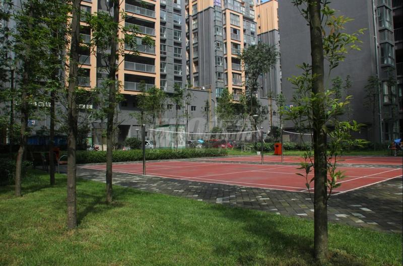 小区实景图