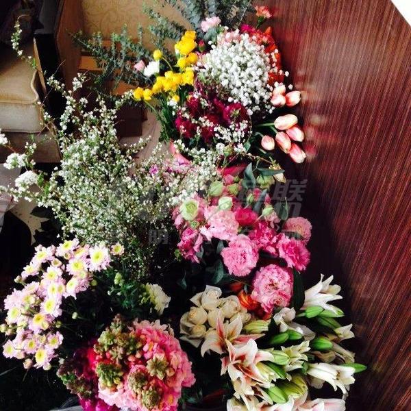 3.8妇女节
