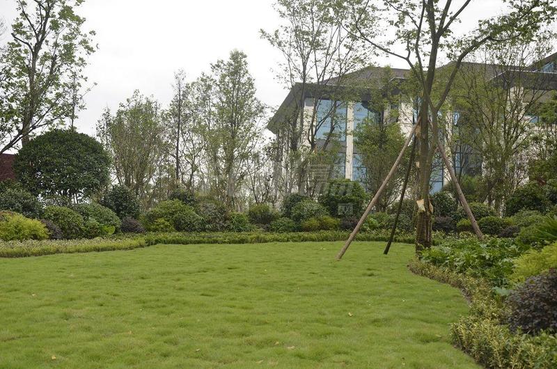 售房部及体验区