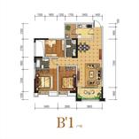 B1