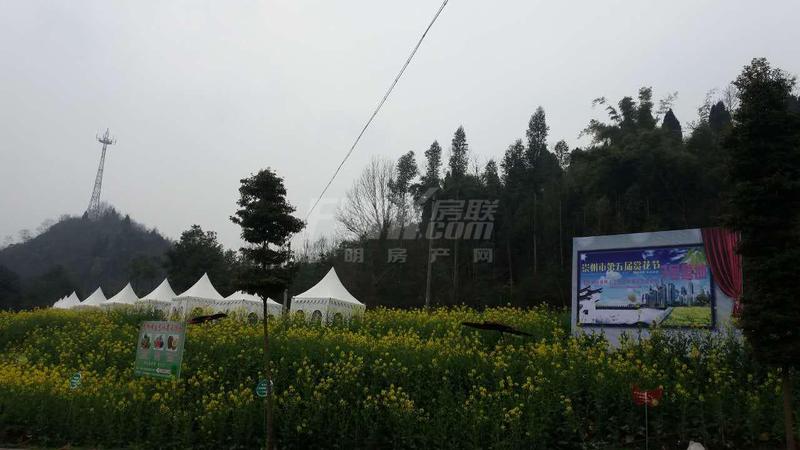 活动图
