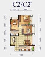 C2/C2'