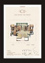 C1