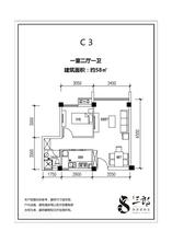 C3