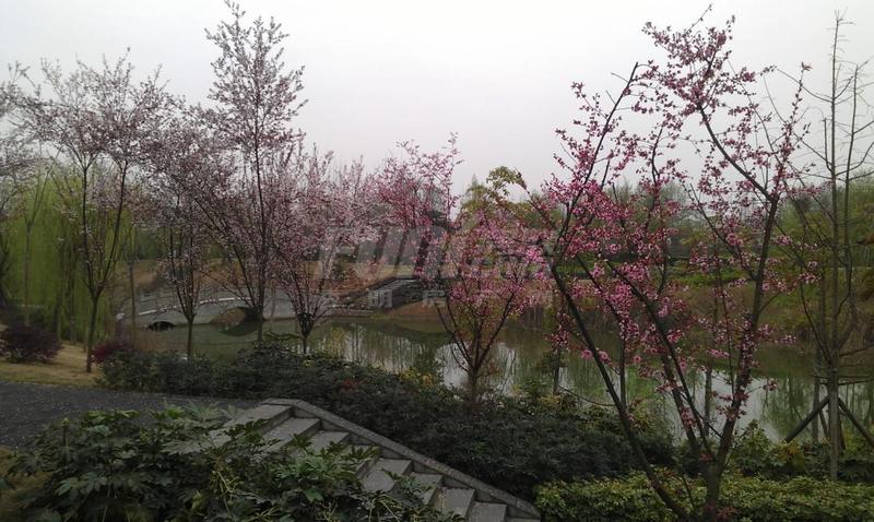 国学公园