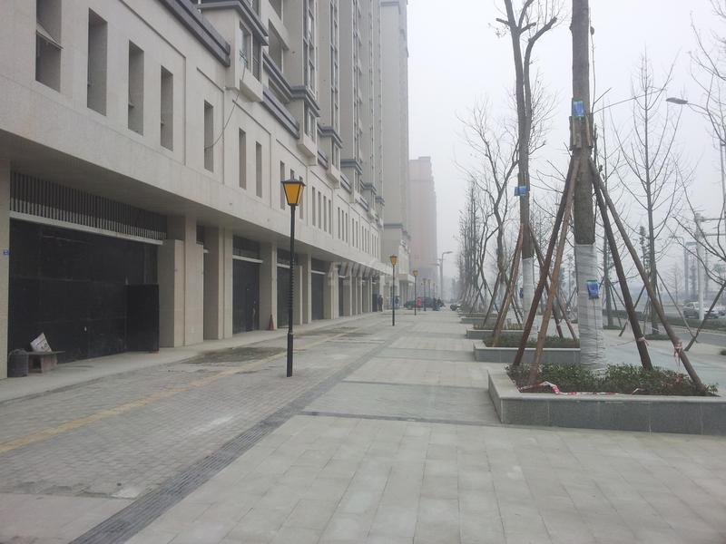 实景图