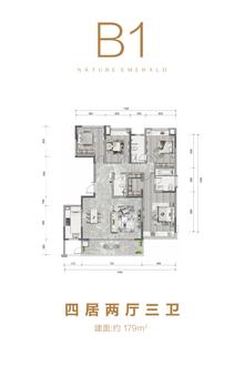 金科博翠府1期4室2厅3卫179.00平户型