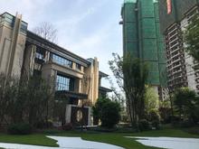 首钢蓉城里1期实景图