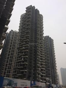红树湾2期实景图