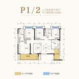 P1/2