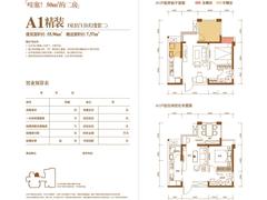 鑫城府2室2厅1卫55.95平户型