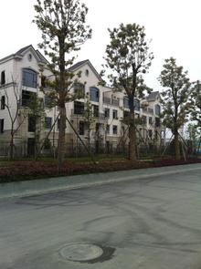 嘉裕第六洲实景图