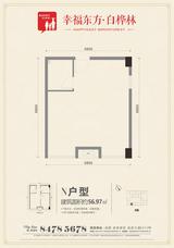 九峰时代广场(白桦林商业中心)  56.97平米