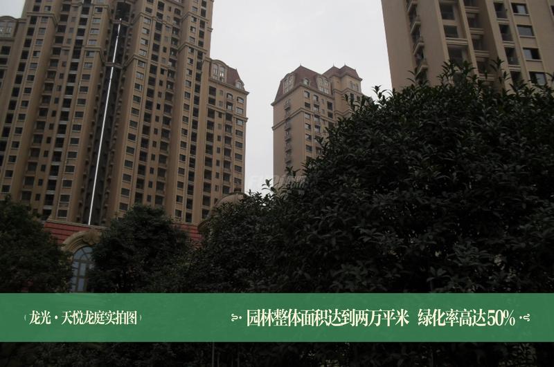 绿化率