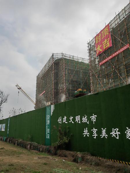 实景图