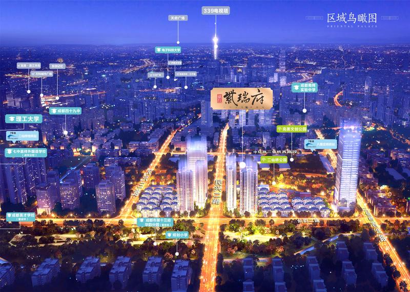 项目效果图