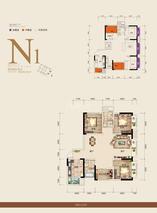 N1(17#)