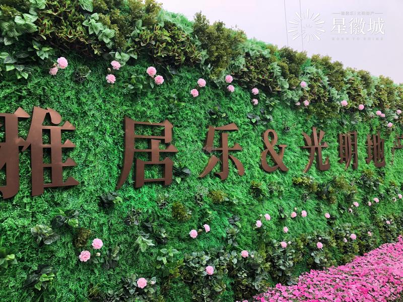 实景图