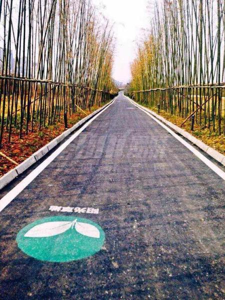 项目实景图